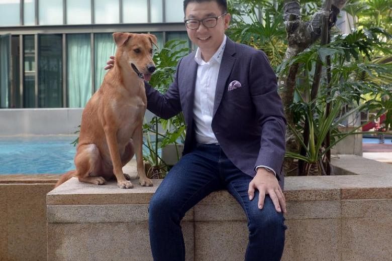 Mr Steven Seow, who started Singapore Consultancy in 2016, with his dog Banana. He adopted the dog two years ago and considers it his best “investment” as he gets so much joy from it, something that money can never buy.