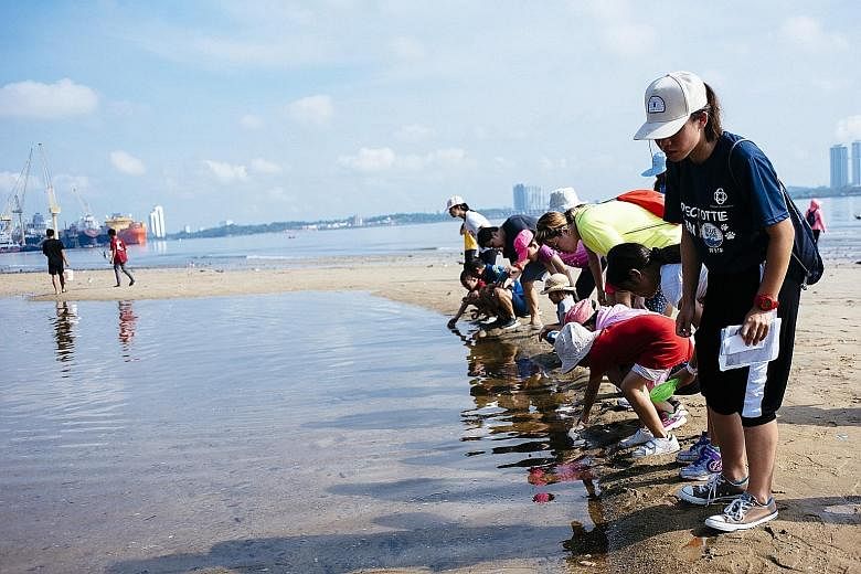Parents and children exploring a tide pool during an intertidal walk which was part of a science-themed family camp in Sembawang yesterday. The People's Association aims to encourage young families to go outdoors through a series of themed camps that