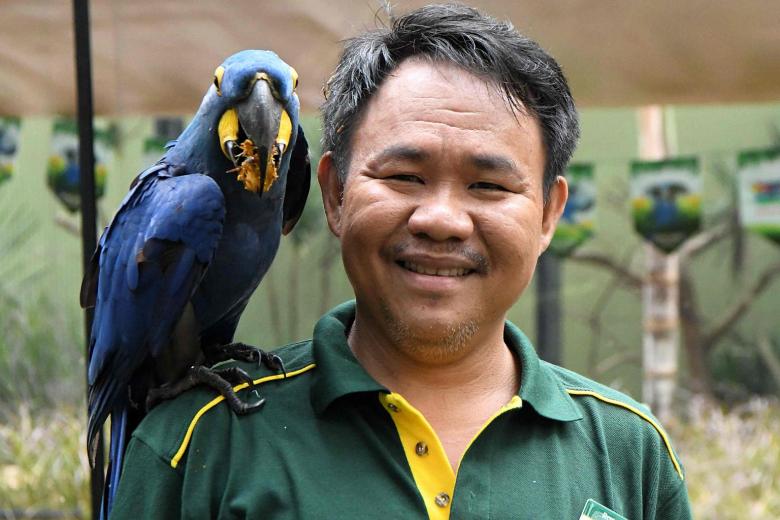 Deaf 'bird whisperer' forms rare bond with feathered friends at Jurong