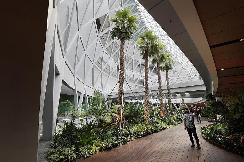The new 460 sq m garden at Changi Airport Terminal 1's arrival hall, which opened on Tuesday. Featuring palm trees, dragonfly topiaries and sculptures, as well as a pond, the garden is the airport's first in a public area.