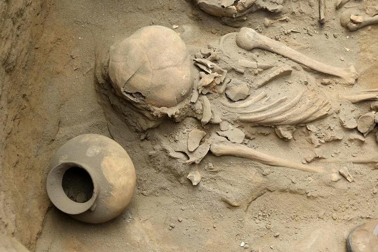 New Clues About Human Sacrifices at Ancient Peruvian Temple