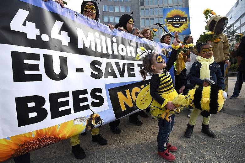 Activists at a rally in front of the European Commission in Brussels yesterday calling upon EU states to protect bees by voting for a full ban on bee-killing pesticides.