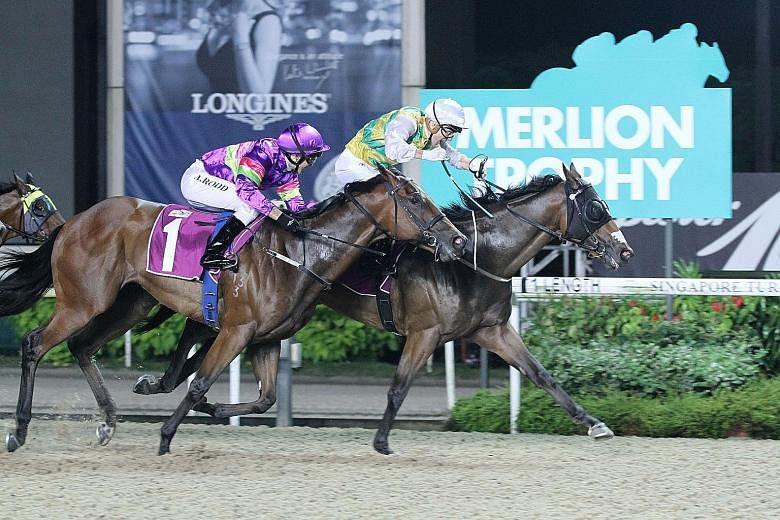 Distinctive Darci getting up on the inside to beat Countofmontecristo in the $500,000 Merlion Trophy in Race 6 at Kranji last night.