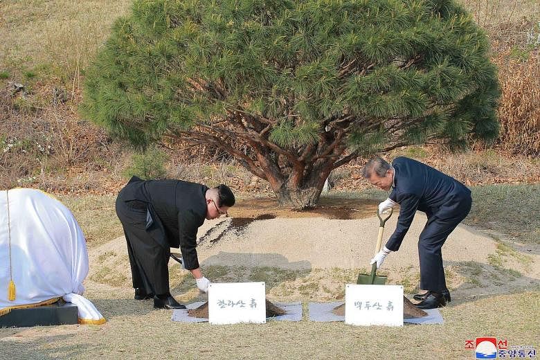 North Korean leader Kim Jong Un (far left) and South Korean President Moon Jae In participating in a tree-planting ceremony on April 27 next to the Military Demarcation Line that forms the border between the two Koreas at the truce village of Panmunj