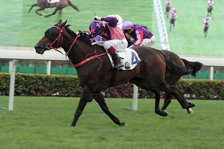 Last-start winner Prawn Baba appeals in tomorrow's Group 3 Queen Mother Memorial Cup in Race 4 at Sha Tin with a light weight.
