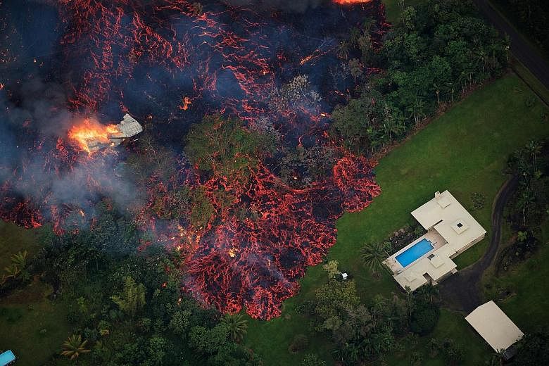 Lava from a robust fissure eruption (above) on Kilauea's east rift zone near Pahoa consumes a home, then threatens another. At least 26 homes have already been destroyed. An apparent lull in activity on Sunday allowed some evacuated residents of Leil