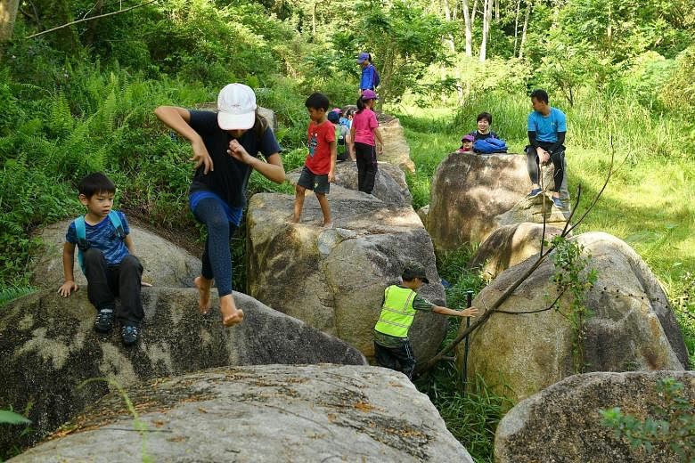 Children clambering over big rocks in Forest School Singapore's "Boulder Playground" yesterday. The school near Rifle Range Nature Park runs regular programmes for children aged three to 12 where they are taken into the forest nearby and allowed to g