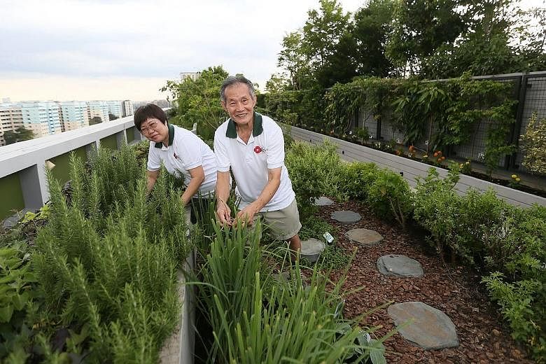 Civil servant Doris Yuen, 59, and her retiree husband Yip Keng Luen, 72, at the rooftop community garden in the 11-storey Kampung Admiralty. Other facilities in this HDB project include a medical centre and a sheltered plaza for community activities 