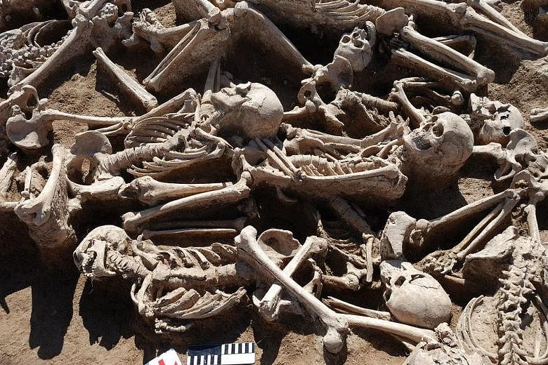 The hepatitis B virus was found in ancient humans, including a warrior buried in this mass grave in Omnogobi, Mongolia.