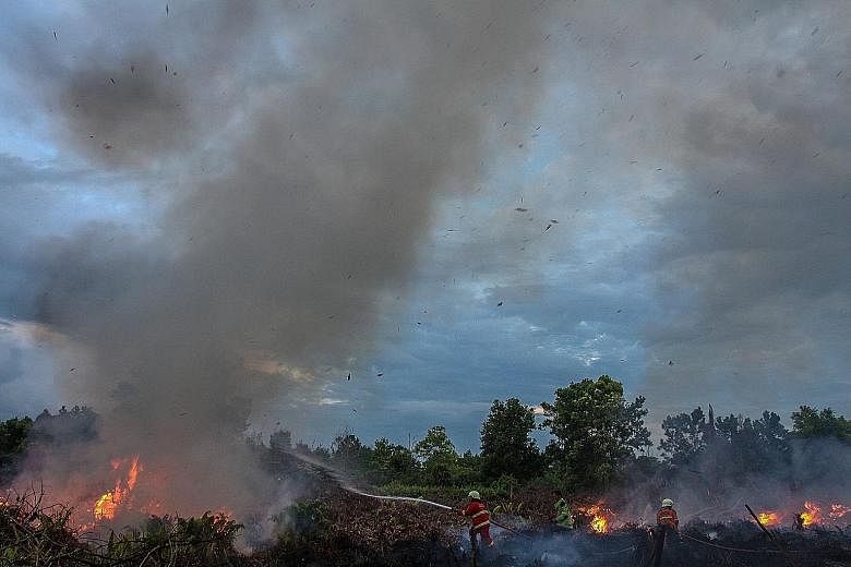 Firefighters putting out bush fires in Pekanbaru, Riau province, on Monday. Since the 2015 haze crisis, Indonesia has taken significant steps to reduce forest fires.