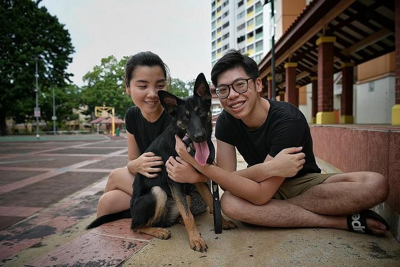 Mr Ambrose Lim and his wife Fransisca Fortunata with Leia. There were comments about its colour and size before they adopted the mongrel, but Mr Lim says he has no regrets about the decision to adopt the dog.