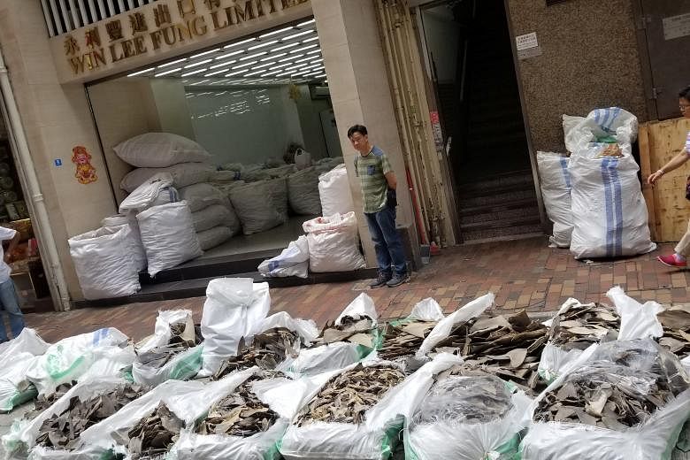 Bags of shark's fin from a Singapore Airlines shipment seen in Hong Kong on May 11. SIA, which bans shark's fin cargo, said in an e-mailed statement yesterday that the shipment to Hong Kong which contained shark's fin from endangered species, includi