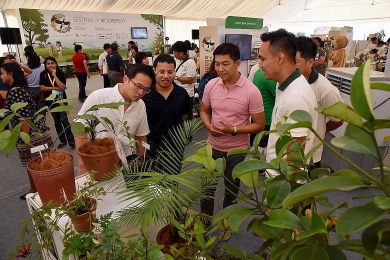 Foreground, from left: Mayor for North East CDC Desmond Choo, Minister for Social and Family Development and Second Minister for National Development Desmond Lee, and Speaker of Parliament Tan Chuan-Jin visiting one of the booths at the Festival of B