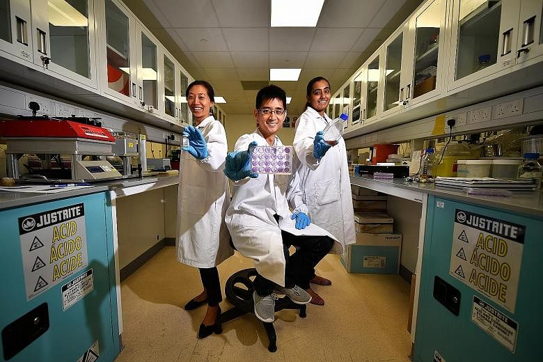 (From left) Principal scientist Debbie Lee with a vial of Tyzivumab, assistant director Chionh Yok Hian with a multi-well plate demonstrating the effectiveness of Tyzivumab against the Zika virus, and laboratory manager Rasvinder Kaur with a flask of