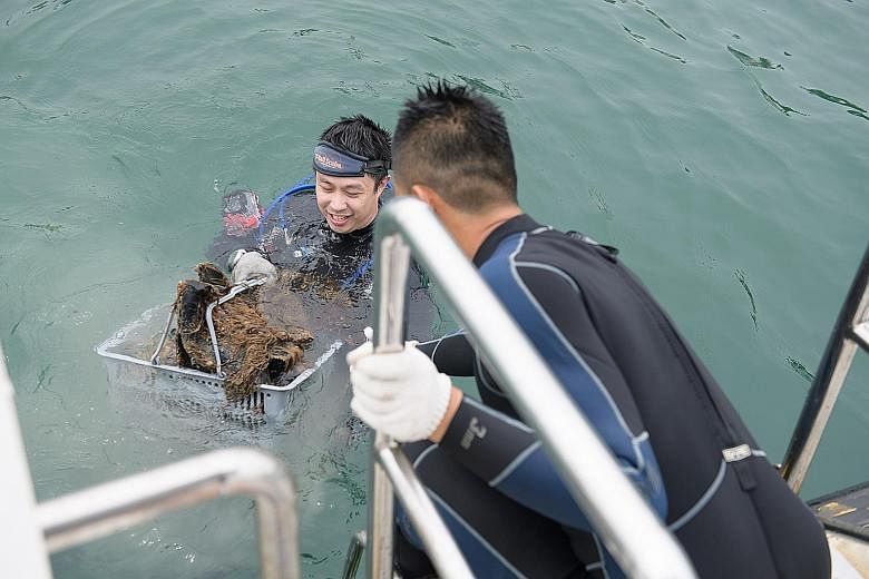 Volunteer divers sorting the debris collected off Raffles Lighthouse last Saturday to compile data that will be included in a global survey.