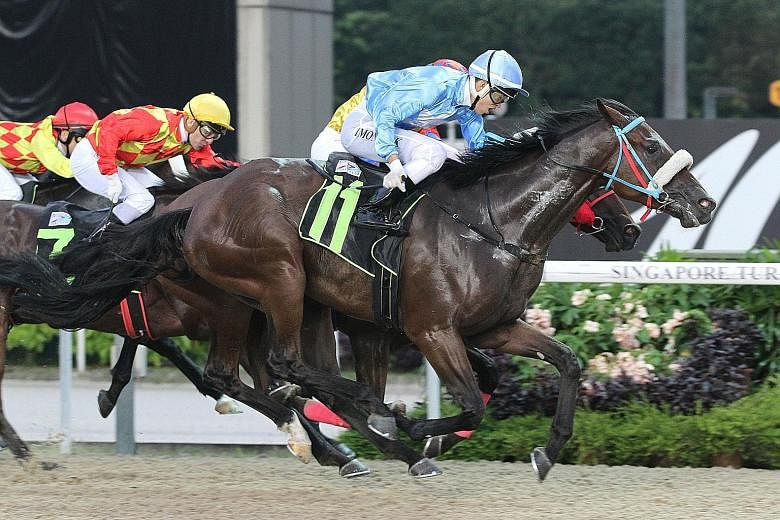 Apprentice Simon Kok steering the Alwin Tan-trained newcomer Dixieland Rock (No. 11) to get up in the last couple of strides to take Race 2 at Kranji last night.