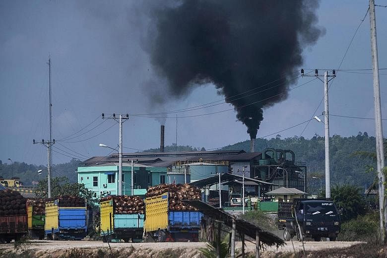 Thick smoke billowing from a crude palm oil factory in Indonesia's Aceh province. The European Parliament caused an outcry among palm producers in Asia when it called in January for a total ban on use of the commodity in road fuel. On Thursday, EU ne