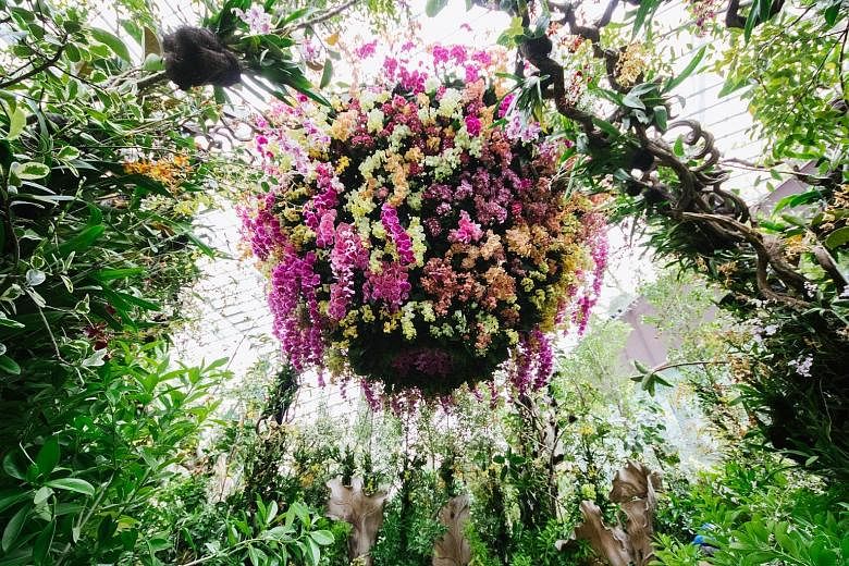 The Singapore Garden Festival 2018 will feature magical fantasy gardens, inspirational show gardens, exquisite floral displays and an orchid extravaganza (above).