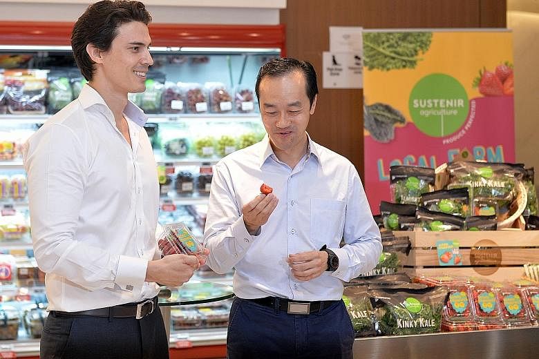 Above: Sustenir Agriculture CEO Benjamin Swan offering Dr Koh Poh Koon a taste of locally-grown strawberries, which are on sale at $12 a punnet.