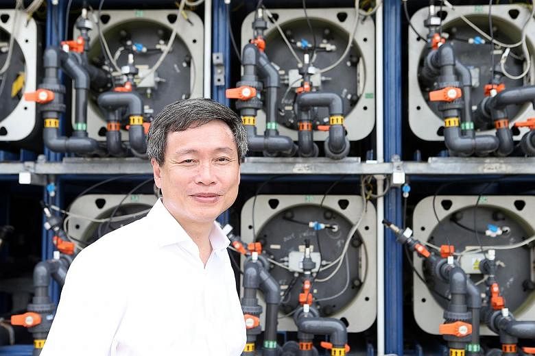 PUB's assistant chief executive Harry Seah hopes to reduce the rate of energy consumption of desalination at the Tuas demonstration plant to 1.8kwh per cubic m of sea water by next year, down from 2.4kwh per cubic m.