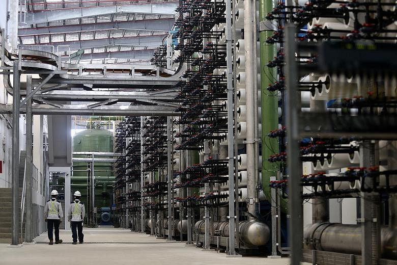 Singapore's third desalination plant officially opened last week. To produce water via desalination or treatment of used water, between five and 17 times more electricity than that used to treat rain water is needed.