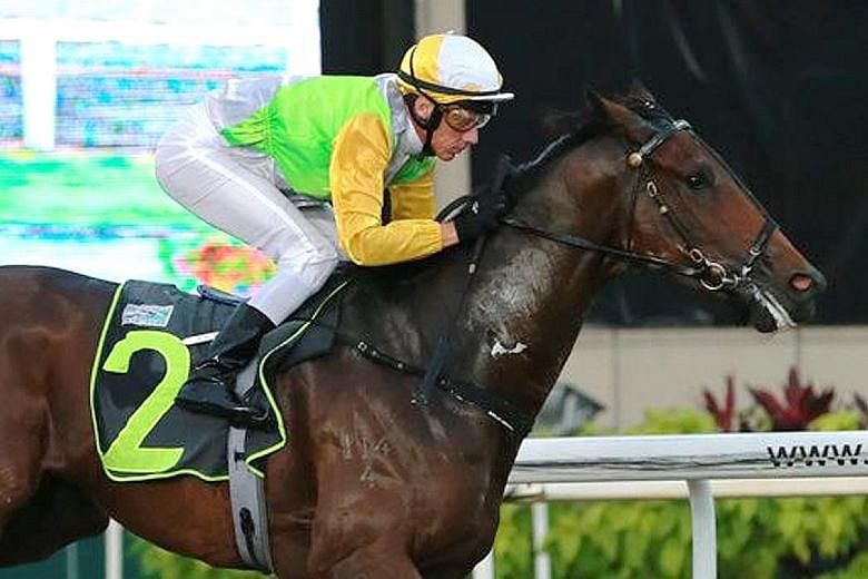Jockey John Powell steering Kiss Your Song to his first Kranji breakthrough on his 12th start yesterday.