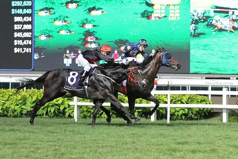 French jockey Ryan Curatolo steering the $12 favourite Lim's Lightning to beat $151 outsider Galvarino (No. 8) by a short head in the $325,000 Group 2 Aushorse Golden Horseshoe over 1,200m on turf at Kranji last night.