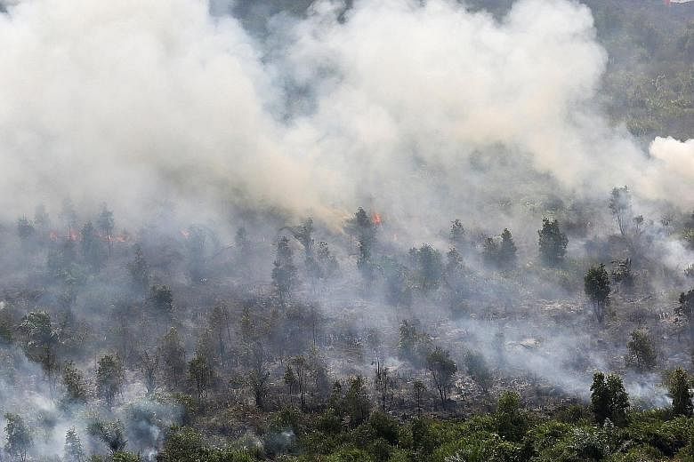 Indonesia has been hit by forest fires again. This blaze in Ogan Komering Ilir, in South Sumatra province, was still raging on Tuesday. The Indonesian government has also detected 29 hot spots in Riau province on Sumatra Island in the past two days. 