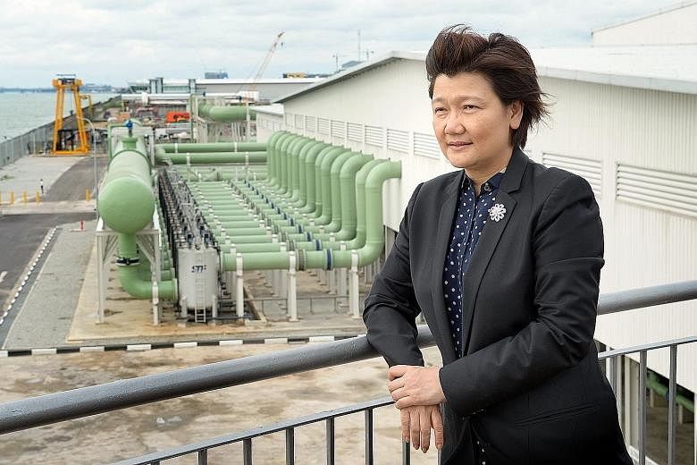 Hyflux chief executive Olivia Lum (above) said that while management has yet to receive any firm offer for the Tuaspring integrated water and power plant (top), there are now eight interested parties.