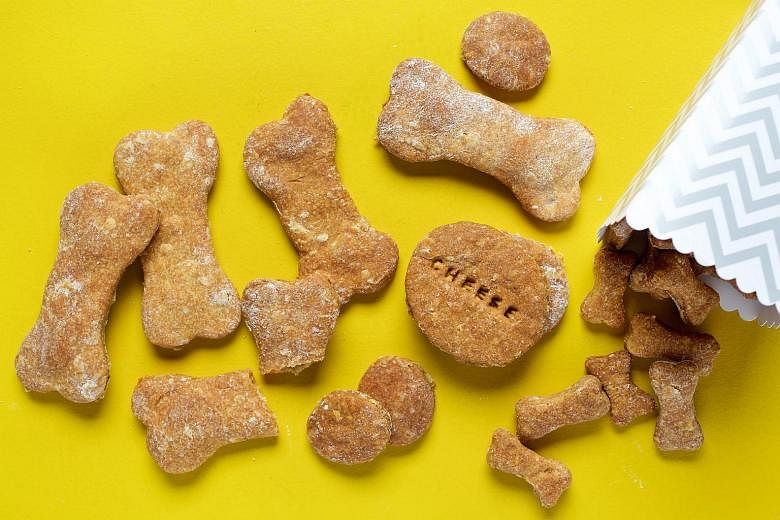 sugar free treats for dogs