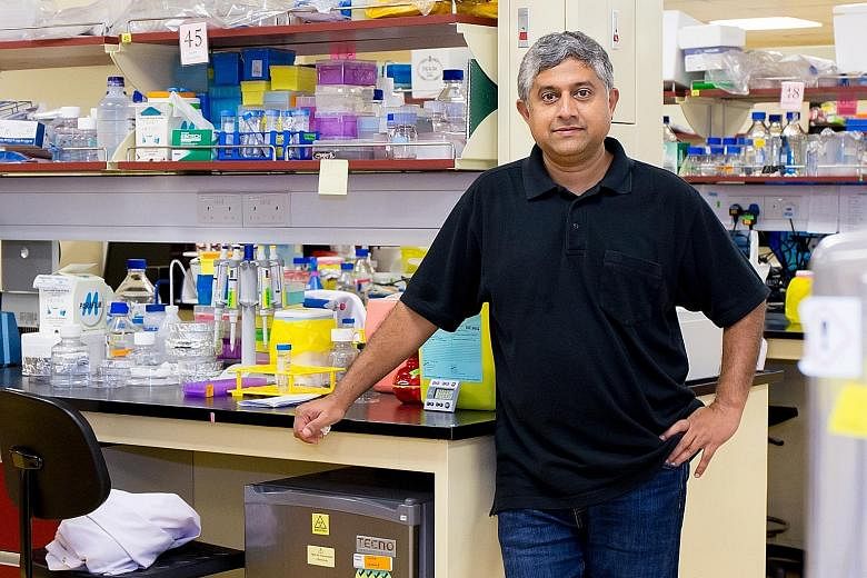 The method developed by Professor G.V. Shivashankar and his team lowers the risk of stem cells going awry when they are used to treat patients.