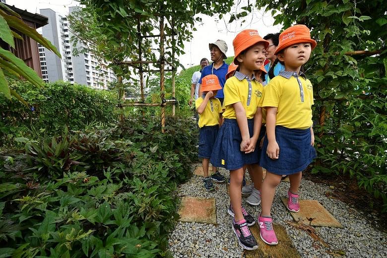 Above: Alyssa Ng Si Qi (front, left) and Li Run Tong, both six, at the KidzPatch garden adjacent to the Skool4Kidz campus. Top: Overview of the Skool4Kidz campus beside the Sengkang River. It is one of the nine large childcare centres already operati