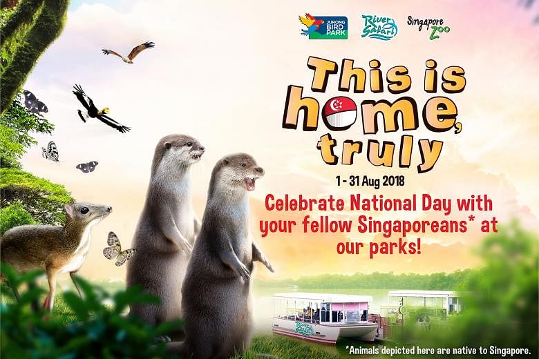 Celebrate National Day with your fellow Singaporeans | The Straits Times