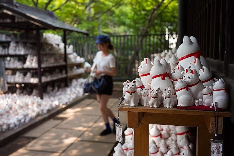 About 10,000 "maneki-neko" or "beckoning cat" figurines are strewn around the Gotokuji temple in Tokyo, drawing visitors aplenty and making the temple one of the most Instagrammable spots.