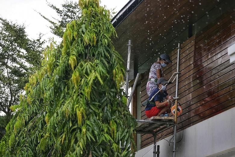 The two Indonesian maids of Willow Phua Brest (right) were spotted perched on a two-storey scaffold (above) at her Cluny Park home last year. The two maids were not trained to work at height.