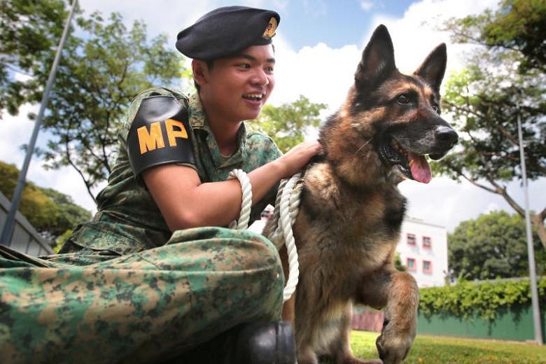 Old 2024 police dogs