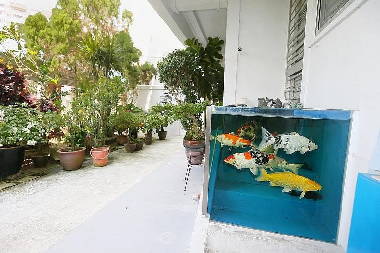 The owner of this HDB flat at Block 415 Tampines Street 41 has built a fish tank on the steps leading to his unit.