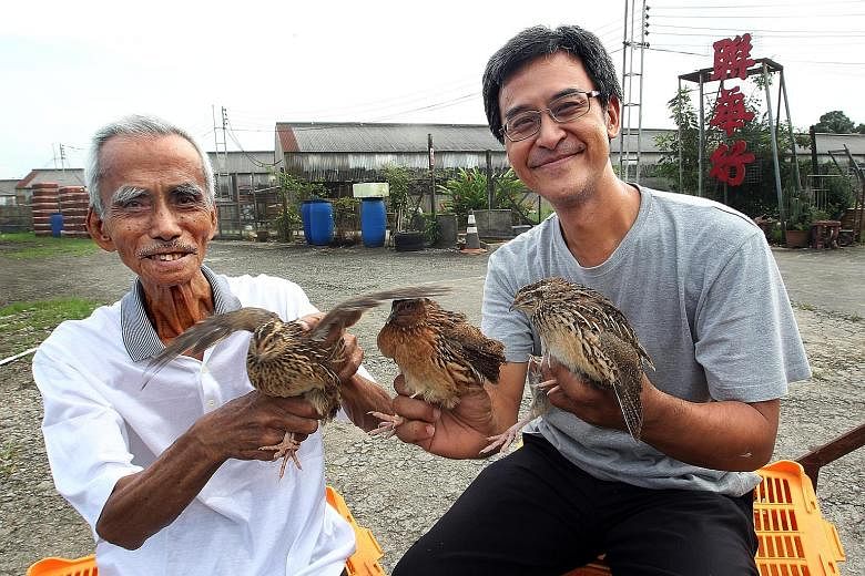 Mr Ho Seng Choon in earlier days with his youngest son William Ho, at their farm in Lim Chu Kang which specialises in quails.