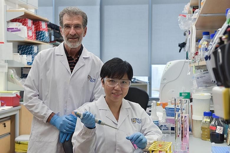 Professor Daniel Tenen and Dr Liu Bee Hui of the Cancer Science Institute of Singapore have designed a molecule to block the interaction between two proteins linked to cancer growth.