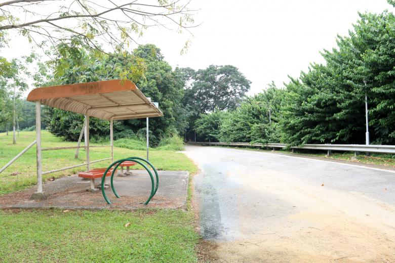 Old Punggol Road to become heritage trail: Did you know there was a zoo ...