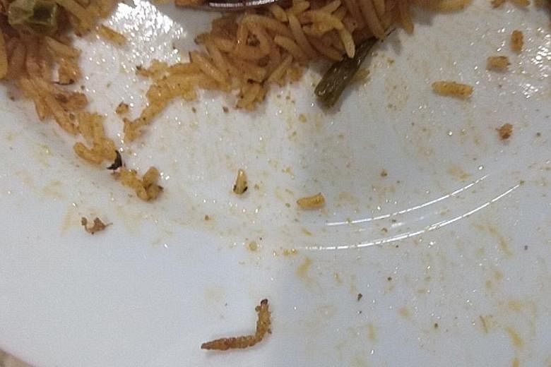 The caterpillar in the vegetable biryani that Mr Abeed Mohammad ordered at Ikea's outlet in India.