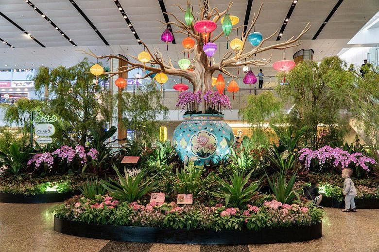Changi Airport: One of the six displays across its four terminals. Chinatown: A dragon-dance performance by the Nam Sieng Dragon & Lion Dance Activity Centre (above) at the light-up and opening ceremony of this year's Mid-Autumn Festival last Saturda