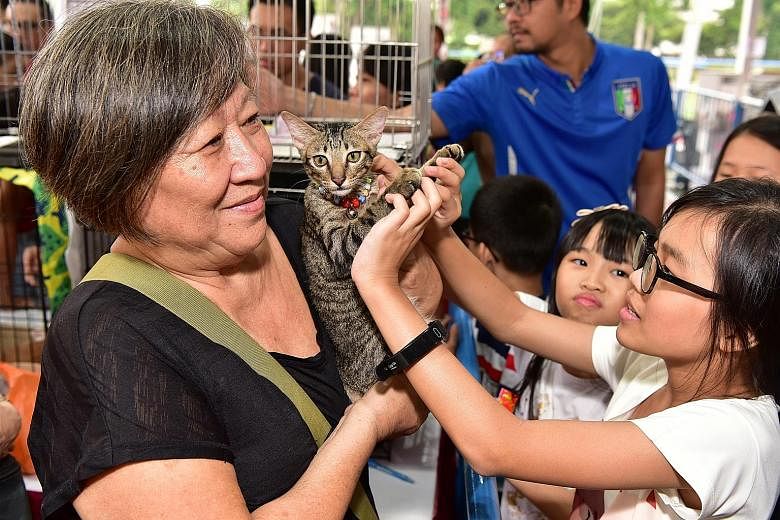 Madam Penny Tan, 66, a volunteer with the Cat Welfare Society, with a four-month-old rescued kitten that is up for adoption. She was one of over 5,000 pet lovers who gathered yesterday at the multi-purpose court opposite Khatib MRT station for Nee So