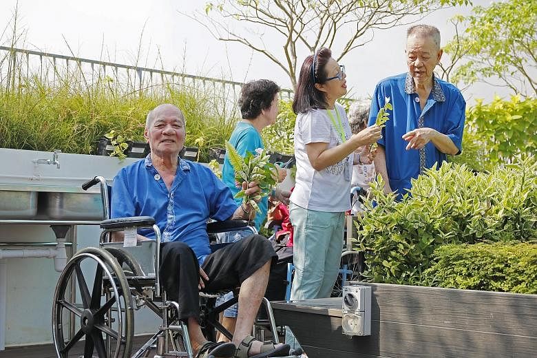 (From left) Mr Tan Soo Siam, 72, with volunteers Ke Sau Keau (side view), 73, and Connie Ho, 64, as well as fellow resident Quek Chin Long, 78, at the rooftop garden of the NTUC Health nursing home in Jurong West. It is the first garden in a nursing 