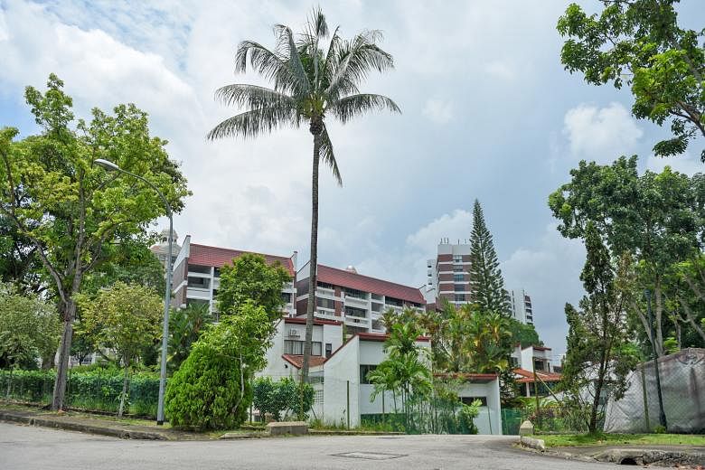 The 236-unit freehold Faber Garden condominium in Angklong Lane is near the Central Nature Reserve amid good class bungalows, landed housing and private condominiums, as well as the upcoming Bright Hill MRT station.