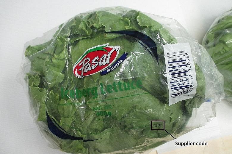 The lettuce is sold under the brand name Pasar with supplier code 40 at FairPrice. At Sheng Shiong, it is sold under the name Iceberg.