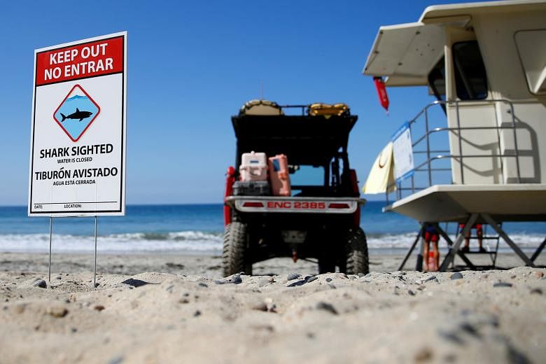 Lifeguards watch over the waters at Beacon's Beach in Encinitas in California. A boy was attacked by a shark there last month.