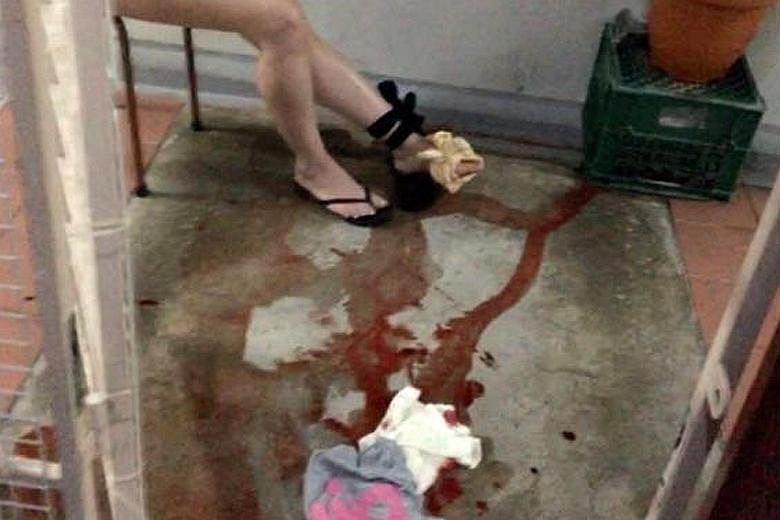 A woman was looking for her cat on the second storey of an HDB block in Sembawang when she was bitten by a python on Tuesday.