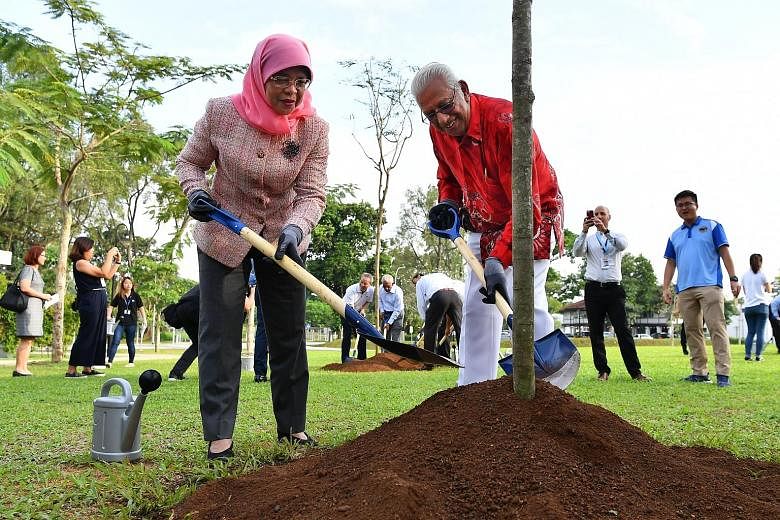 One of the conserved colonial bungalows at Seletar Aerospace Park. The works to refurbish the 13 bungalows are expected to be completed next year. President Halimah Yacob planting a flame of the forest tree with Shera chairman Percival Jeyapal at the