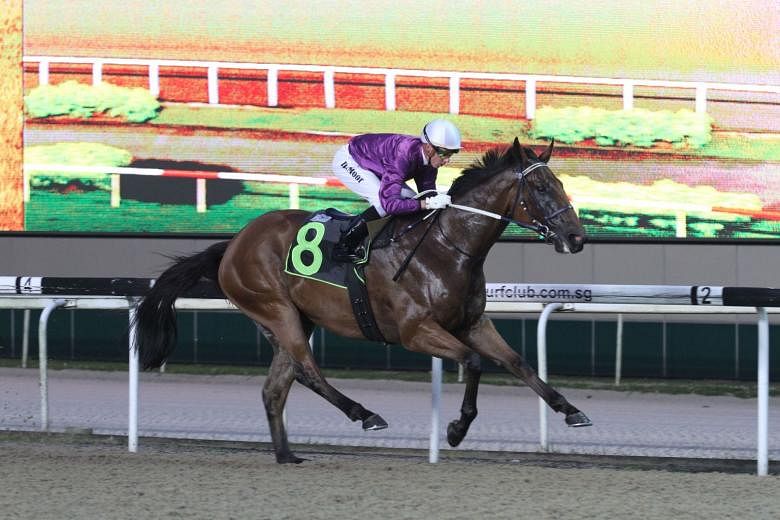 The Lee Freedman-trained giant newcomer Jomo making it a one-horse race in the Open Maiden event over the Polytrack 1,000m. 